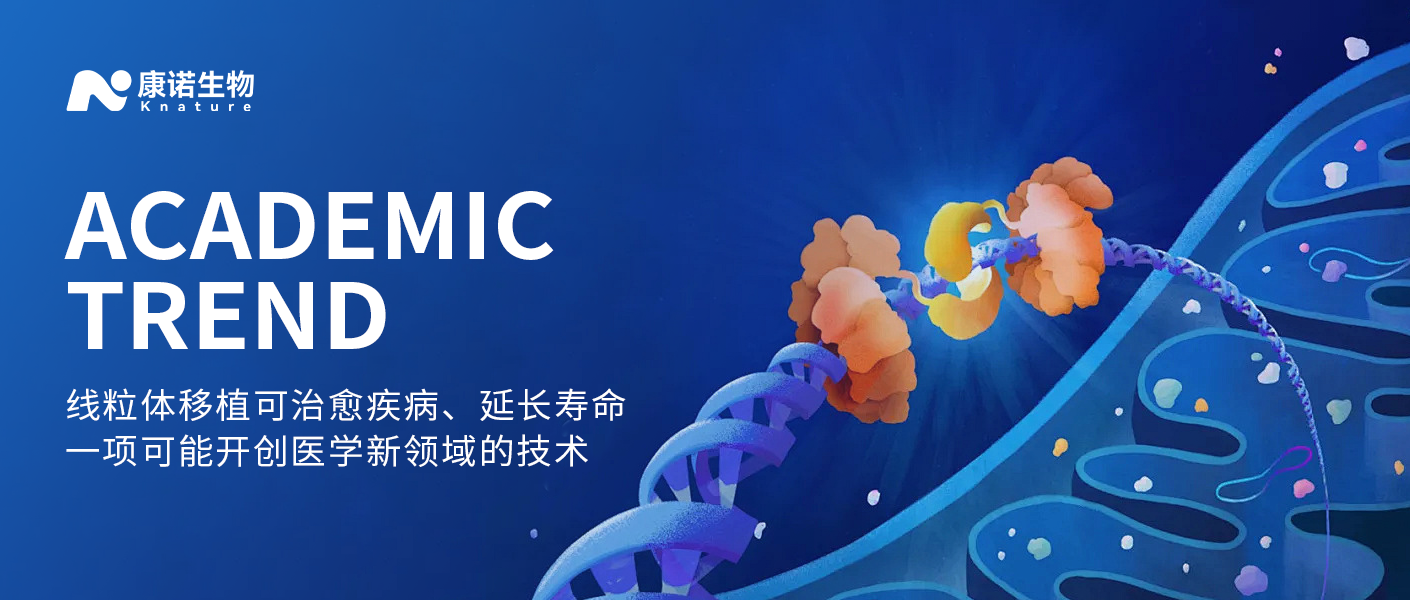 医学前沿 | 经济学人：线粒体移植可治愈疾病、延长寿命